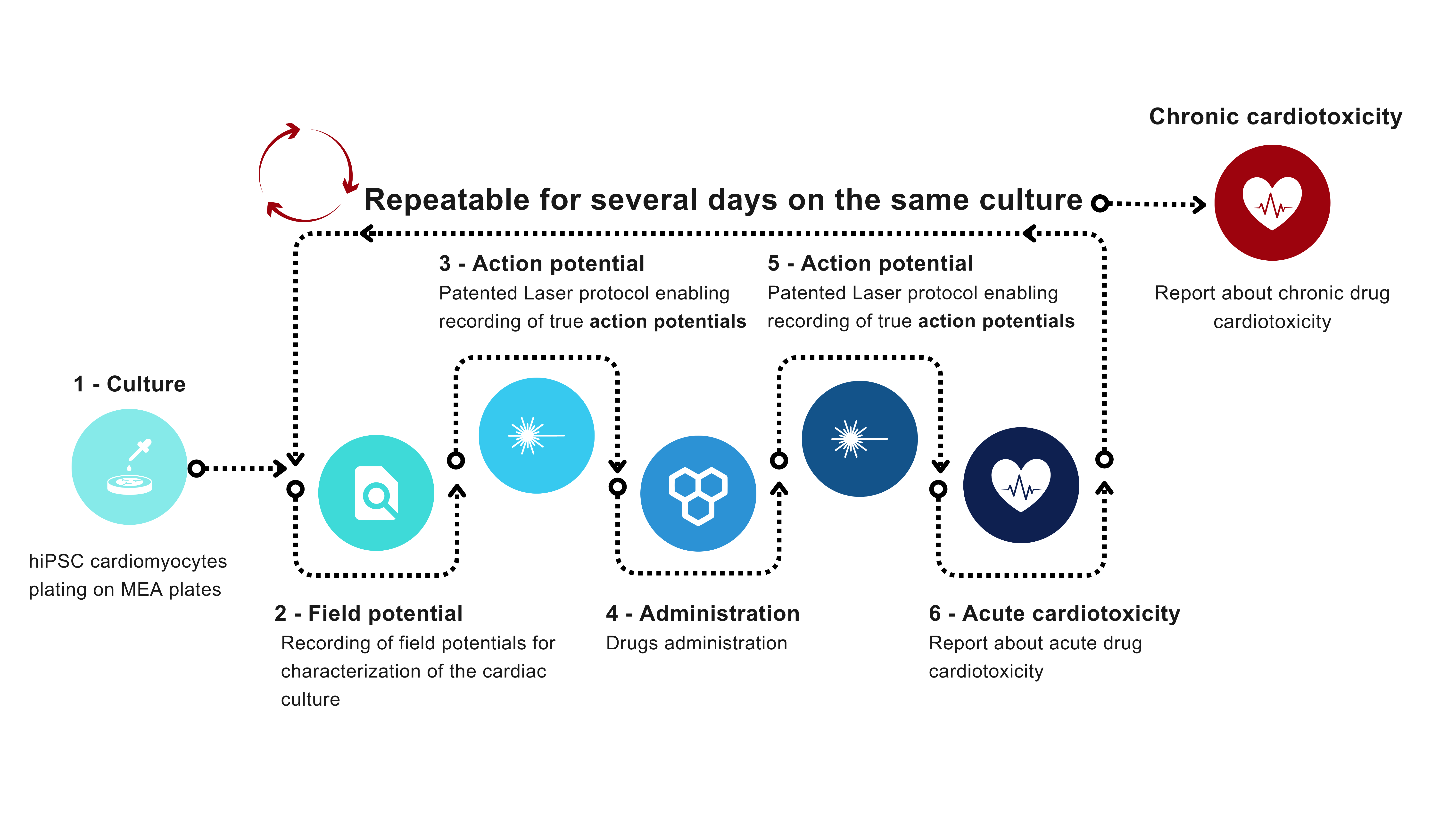 Modello website Services and application